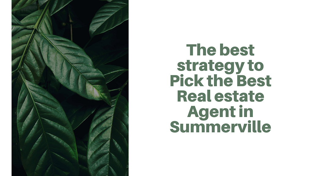 The best strategy to Pick the Best Real estate Agent in Summerville